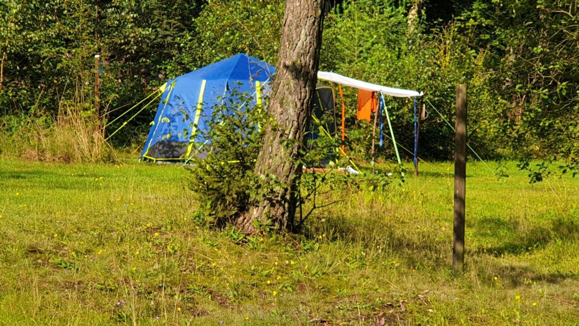 Harzklub Wanderheim Apartment Wildemann Exterior photo